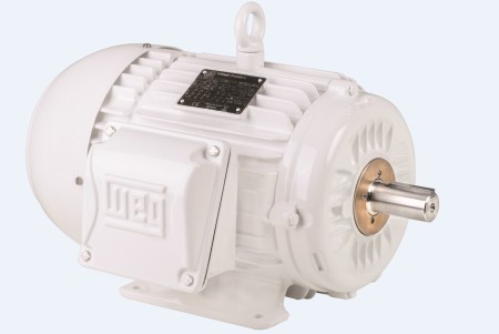 Wwash Electric Motor